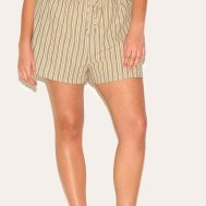 afce88dd2bae4e08b886a21e6e7a08e2b7ed57bf_CNM2055_2_plus_stone_pinstripe_cotton_floaty_shorts-1