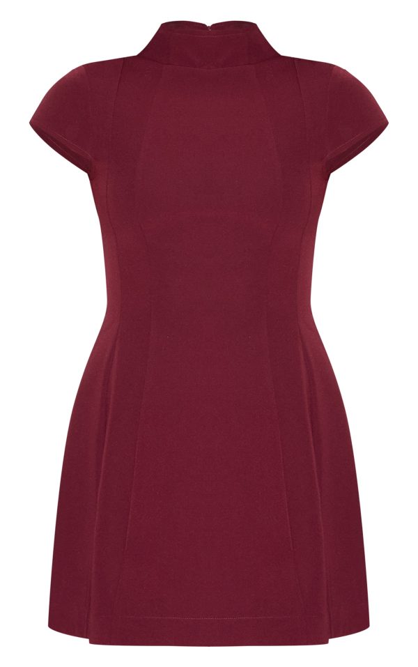 affce84ff17ed63969429cad5a5629c12bca9f48_CNL9405_5_tall_wine_high_neck_cinched_mini_dress