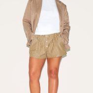 b4458c6a7ff4eb0d3144e8bcb0744dff001d2b38_CNL9924_1_plus_chocolate_pinstripe_cotton_poplin_contrast_waistband_short