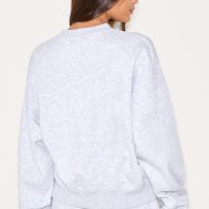 c611d31c1953eea2bfc5598e479aa11b9b685748_CNL9643_2_ash_grey_central_park_embroidered_boxy_sweat