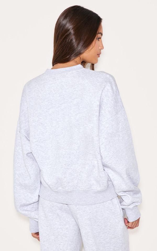 c611d31c1953eea2bfc5598e479aa11b9b685748_CNL9643_2_ash_grey_central_park_embroidered_boxy_sweat