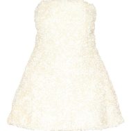 c7ee2500733ee22f30f6960e0c29f6912ea588d0_CNM2034_5_plus_cream_floral_textured_bandeau_mini_dress