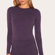 cc476d56754315a0ac0701ae507f08ea2343ad77_CNL7880_1_dark_plum_sculpt_long_sleeve_crop_gym_top-1