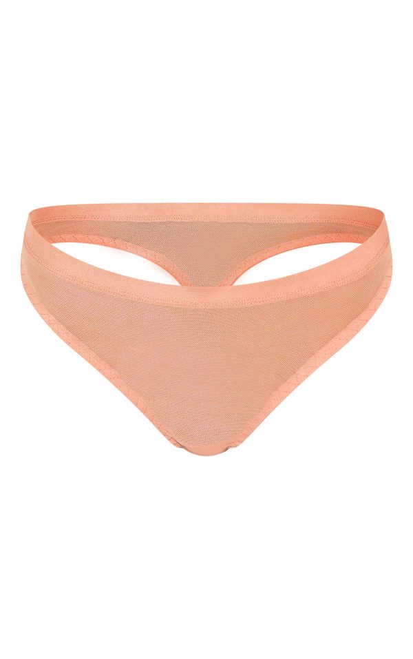 cc4d474b87c594eb9b1587fb0ae90fa0531c060e_CNL8518_5_nude_mesh_brief