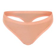 cc4d474b87c594eb9b1587fb0ae90fa0531c060e_CNL8518_5_nude_mesh_brief