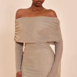Taupe Lined Mesh Long Sleeve Mini Dress