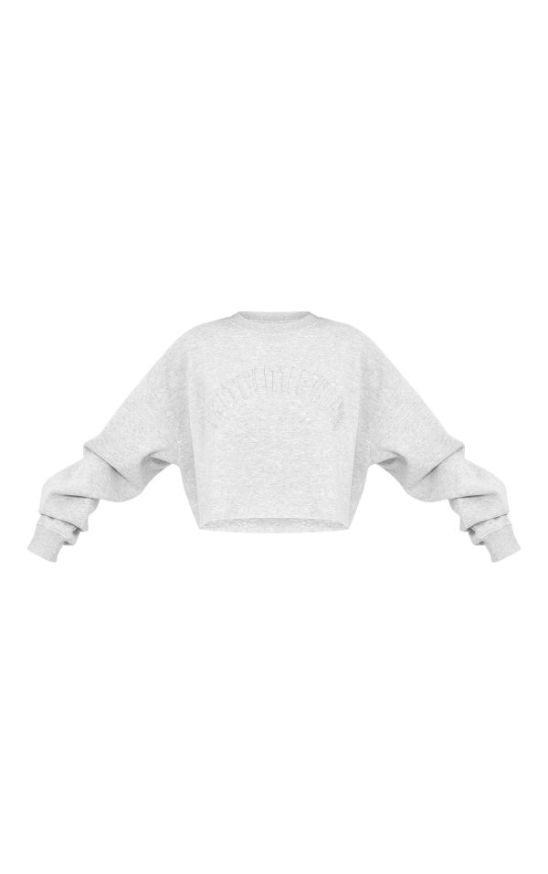ce711d709b21c47d4d40ae94f1a2e6c09639ae1c_CNJ8953_5_prettylittlething_tall_grey_marl_distressed_varsity_cropped_sweatshirt