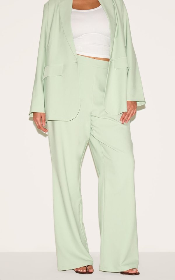 d14eb74f5ee407464e464c673bb5a8c2499dab3d_CNM6267_2_plus_sage_tailored_wide_leg_trouser