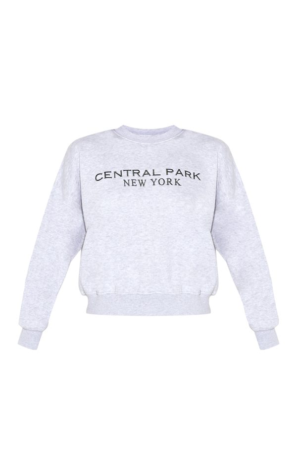 d4585d500d11e67f3204da07d8261f6e5729342e_CNL9643_5_ash_grey_central_park_embroidered_boxy_sweat