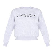 d4585d500d11e67f3204da07d8261f6e5729342e_CNL9643_5_ash_grey_central_park_embroidered_boxy_sweat