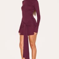 d726587bc63d87523349ad4713bedde7d5a1d904_CNL7514_3_plum_boat_neck_wrap_mini_dress