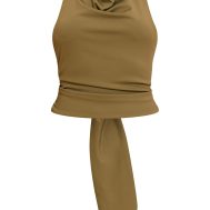 df4084f851e59c41b40876501d48f522f5aac285_CNN0907_5_olive_matte_sculpt_halterneck_gold_detail_backless_top