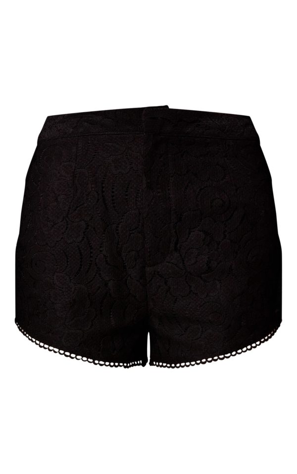 df4dd8bc725e08c93548e1a99899402518bc9c66_CNM4344_6_black_sheer_lace_shorts