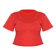 e60f80553c0c53f4e96cdb63999b798f627397d2_CNM0771_5_prettylittlething_plus_red_cropped_baby_tee