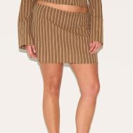 e78045f78e920f63876827fb20926c8f35c9a21e_CNM2042_2_plus_brown_pinstripe_a_line_mini_skirt