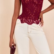 e886bbe34253feee4b9a9d434862a36d1ac102bf_CNM9057_4_wine_textured_sheer_floral_lace_corset