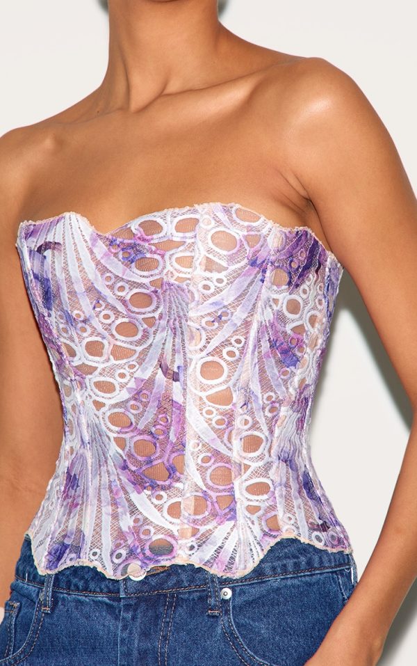 eb9235ffadc9b420518b01b61ff865bc44879f7b_CNH8453_4_blue_textured_sheer_floral_lace_corset