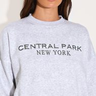 ede121f00765c90157e5c6e3ebf96a0557af2fc1_CNL9643_4_ash_grey_central_park_embroidered_boxy_sweat