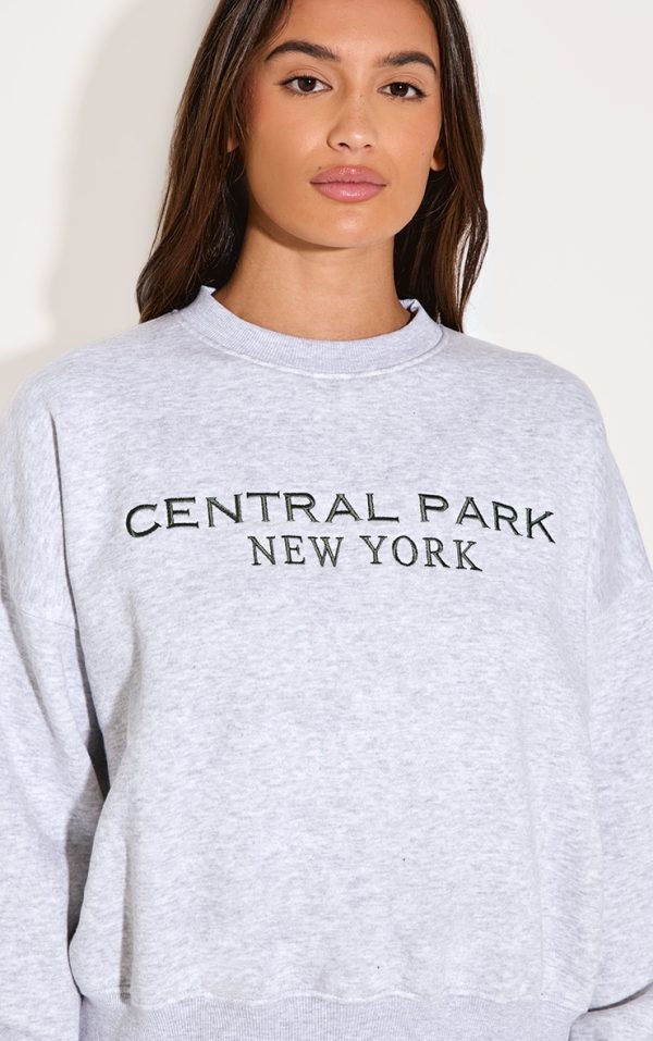 ede121f00765c90157e5c6e3ebf96a0557af2fc1_CNL9643_4_ash_grey_central_park_embroidered_boxy_sweat