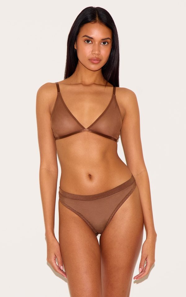 ef45046f630162d509fc13c45fd5c29d24737b78_CNL8516_1_chocolate_mesh_briefs