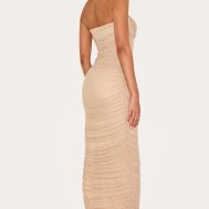 f181b8e96169e2b0181766ec59c9619d3ee8f97d_CNL9111_2_mushroom_mesh_ruched_bandeau_maxi_dress-1