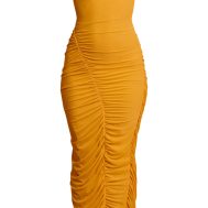 f190123cc166dcd9c167fbacebc4bf8d7a613e8e_CNM7593_5_mustard_double_layer_mesh_boat_neck_ruched_maxi_dress