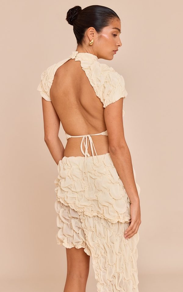 f2bfb52d257896715f88ec8ef5bf34bb1723697d_CNM7079_2_petite_almond_textured_open_back_top