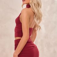 f465d77a8ca9165e4b6b94b54dd1299397ce05c1_CNI4957_2_burgundy_soft_touch_ruched_halterneck_crop_top