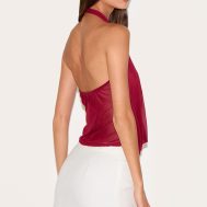 fc4105404b3c708c56dfac5e7b4b15195241b73b_CNN0903_2_deep_red_mesh_halter_neck_top